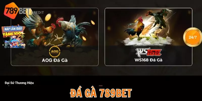 Đá gà 789bet đầy gay cấn