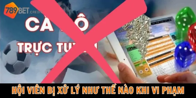 Hội viên bị xử lý như thế nào khi vi phạm điều khoản & điều kiện