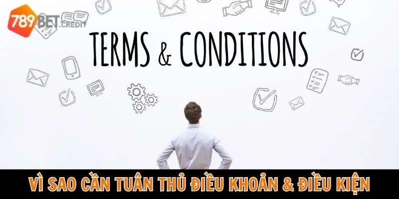 Các quy định điều khoản & điều kiện có quan trọng không?